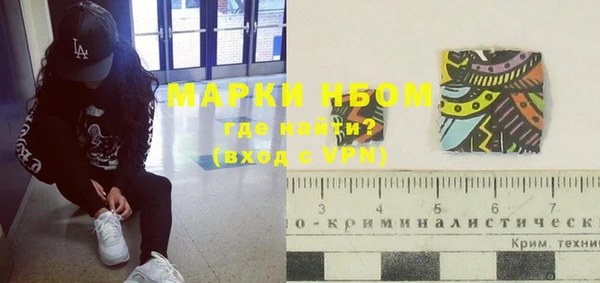 ПСИЛОЦИБИНОВЫЕ ГРИБЫ Инта