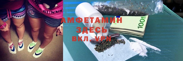 ПСИЛОЦИБИНОВЫЕ ГРИБЫ Инта