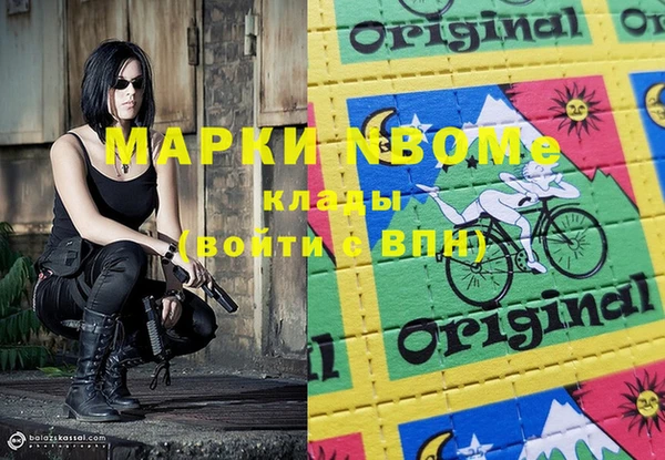 индика Кострома