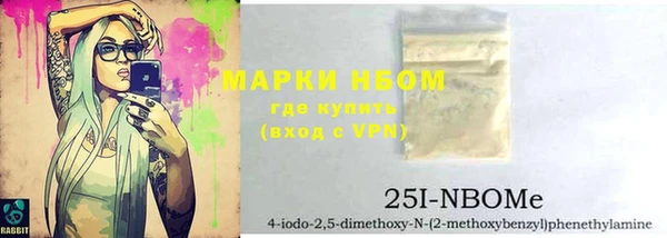 ПСИЛОЦИБИНОВЫЕ ГРИБЫ Инта