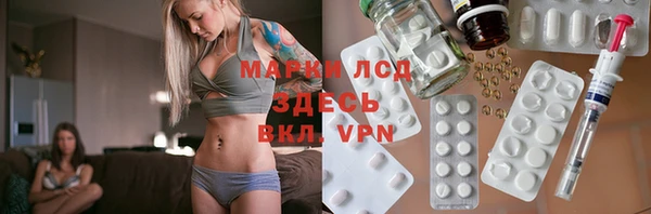 ПСИЛОЦИБИНОВЫЕ ГРИБЫ Инта