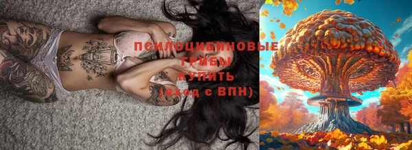 ПСИЛОЦИБИНОВЫЕ ГРИБЫ Инта