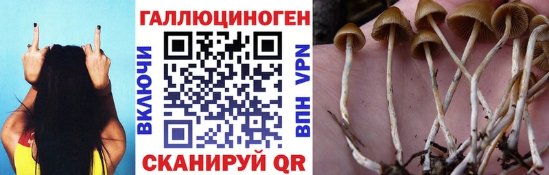 купить  сайты  Северобайкальск  Галлюциногенные грибы мухоморы 