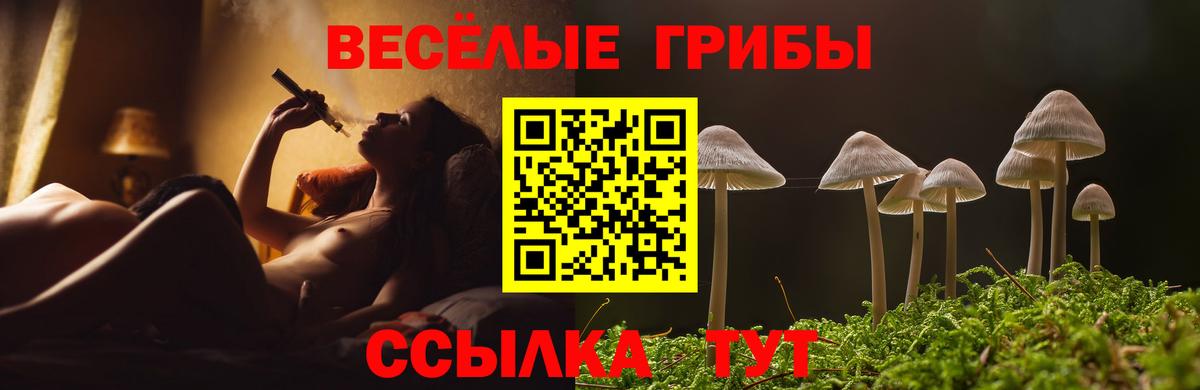 Галлюциногенные грибы Magic Shrooms  Вход с VPN  Северобайкальск 