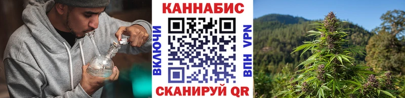 Шишки марихуана MAZAR Северобайкальск
